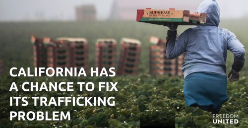 California must protect all migrant workers!