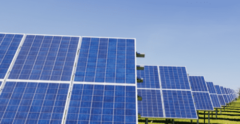 Energia non così "pulita": i pannelli solari del mondo realizzati con il lavoro forzato
