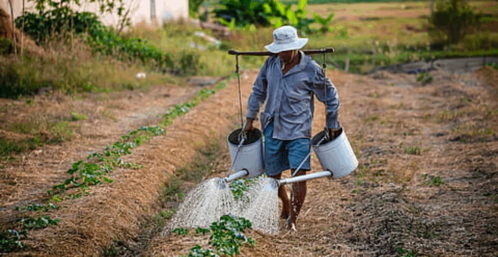 Indian farm worker escapes after 6 years of abuse in Southern Italy
