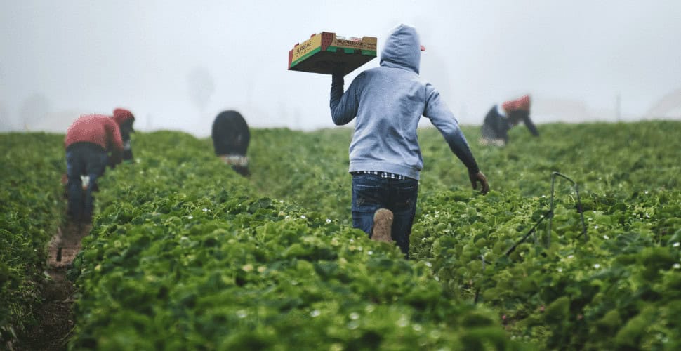 Australia migrants
