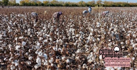 Recolectores de algodón en Uzbekistán