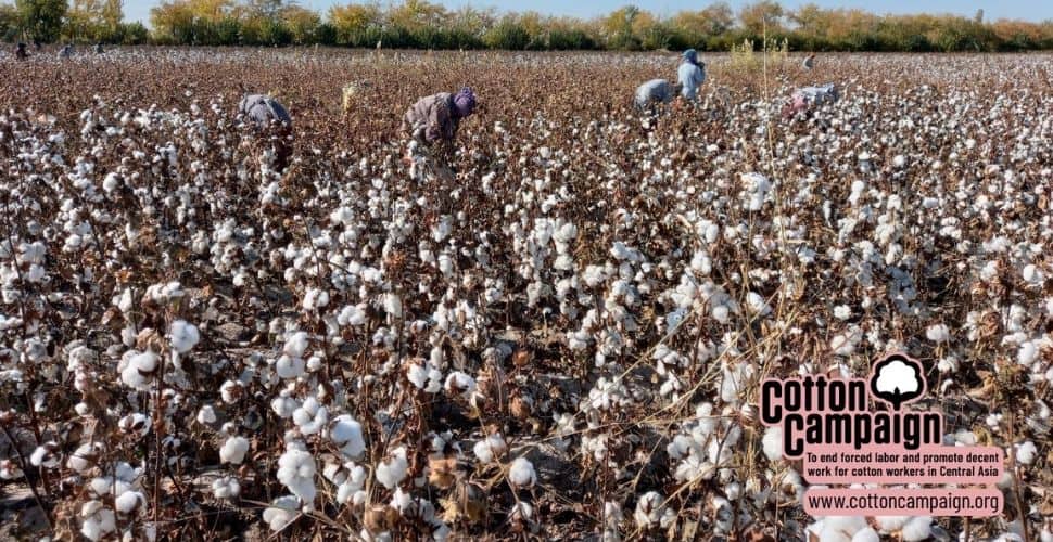 Recolectores de algodón en Uzbekistán