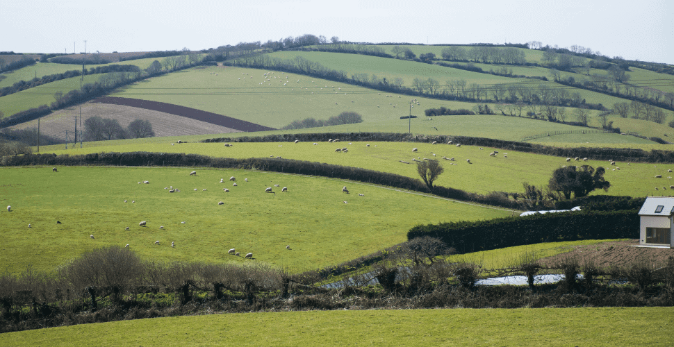 UK farm