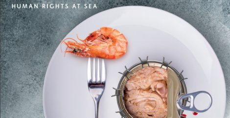 Cooked prawn on a fork resting on a white plate next to an open tin of tuna surrounded by barbed wire and drops of blood