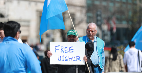 uiguro libero