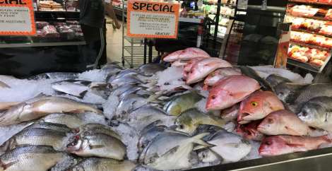 Display of various kinds of fish in a grocery store.