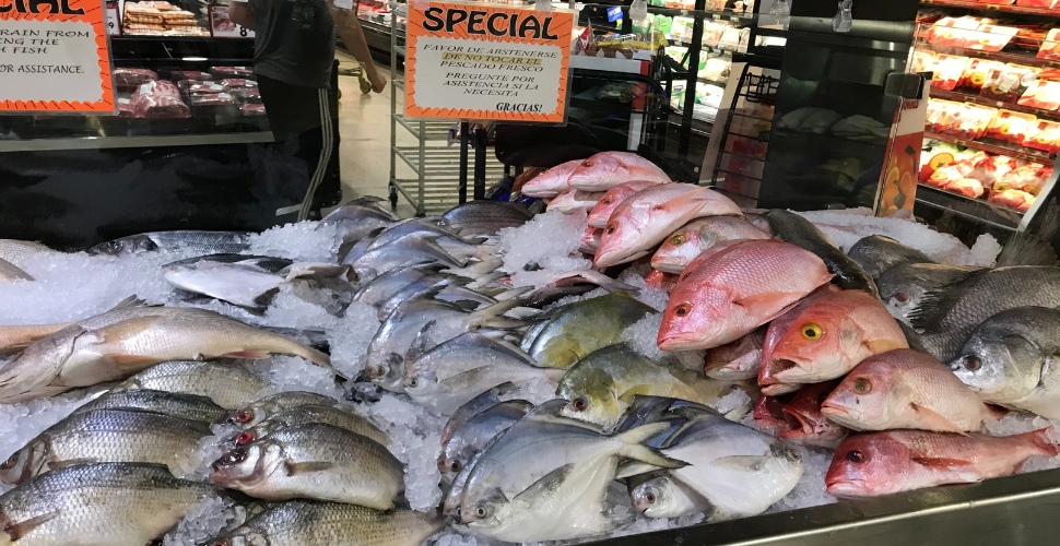 Tuna giant Bumble Bee seeks dismissal of forced labor lawsuit