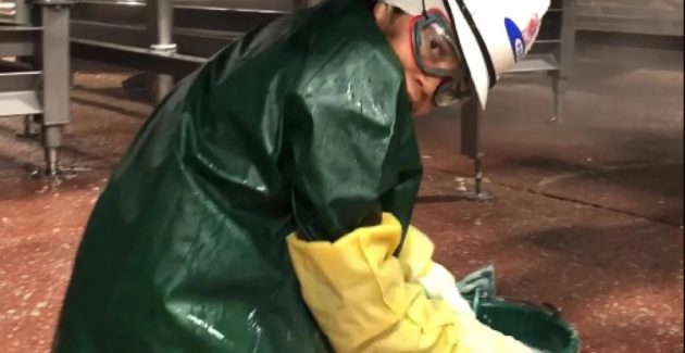 Young person in full workwear, including protective hat, googles, rubber gloves and waterproof coat crouching on the floor