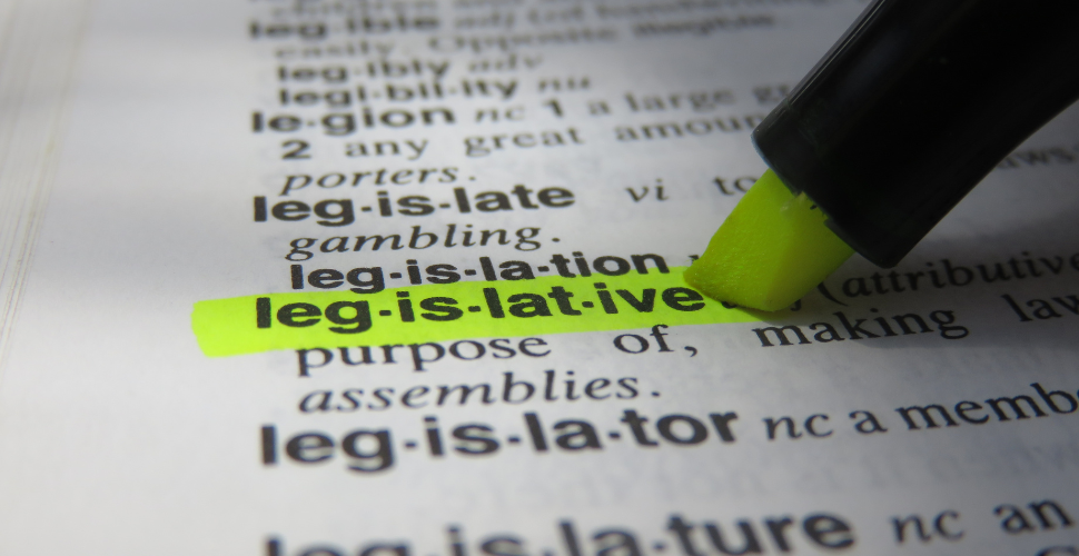 highlighter marking "legislative" in dictionary