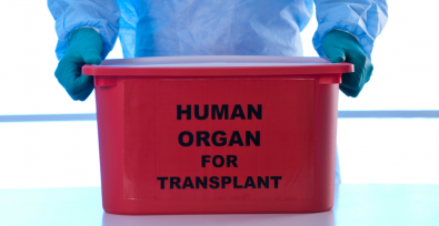 A doctor's hands holding a bin labeled "human organ for transplant" representing illegal organ harvesting