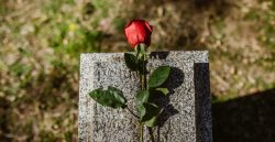 Featured posts