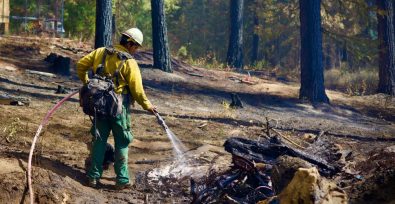 worker putting out a forest fire